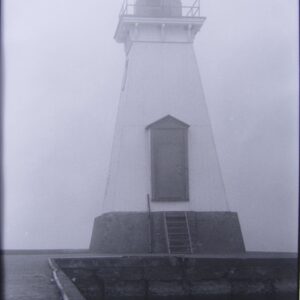 A seagull on a pier in front of a lighthouse in the fog off Lake Ontario