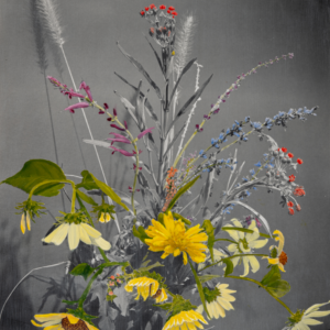 A flower arrangement oil painted over a black and white photograph.