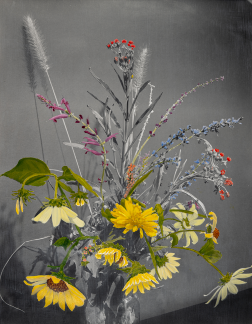 A flower arrangement oil painted over a black and white photograph.